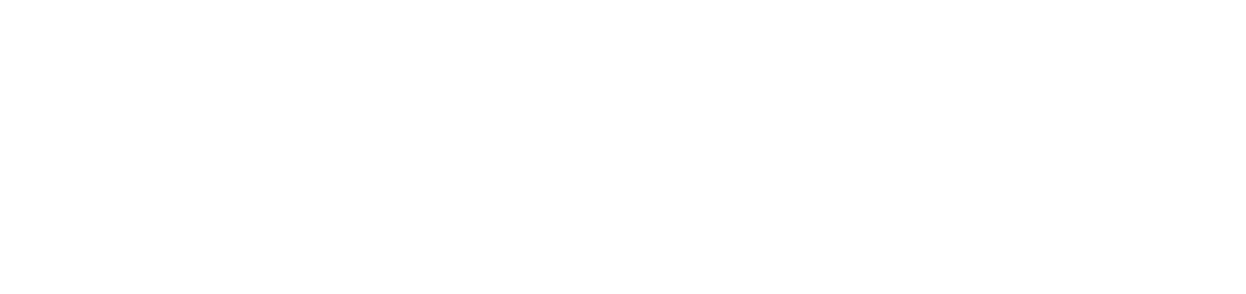 New City Group Logo