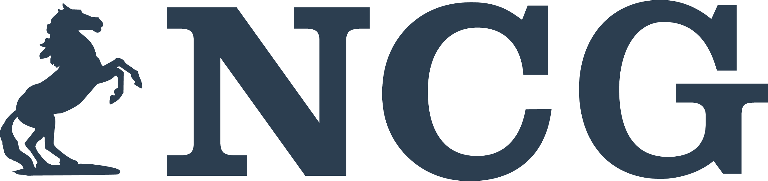 New City Group Logo